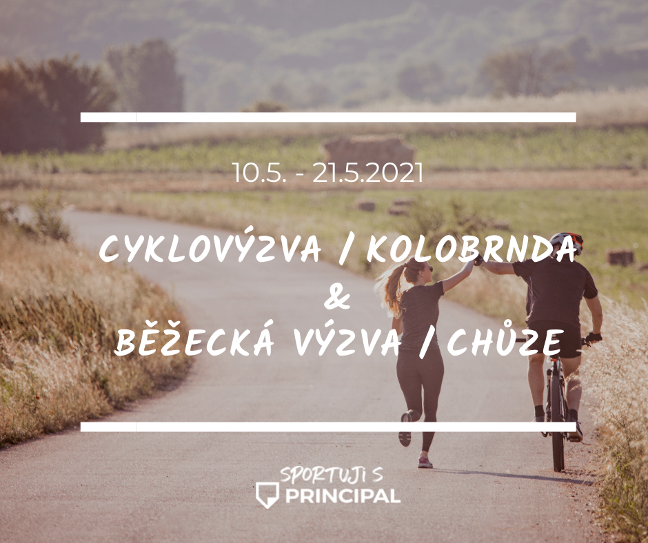 vyzva vysledky
